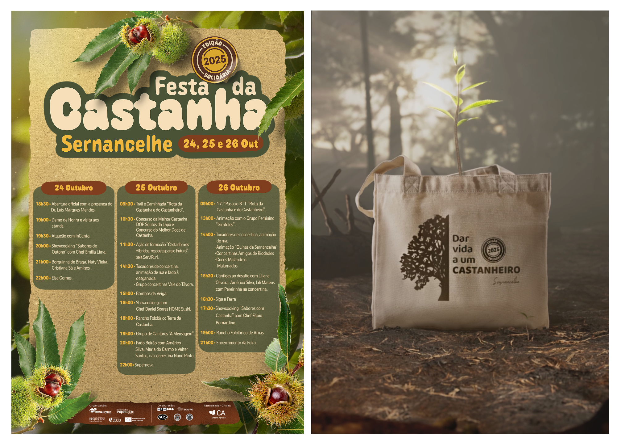 Festa da Castanha 2025: Tradition, Flavors and Solidarity in Sernancelhe