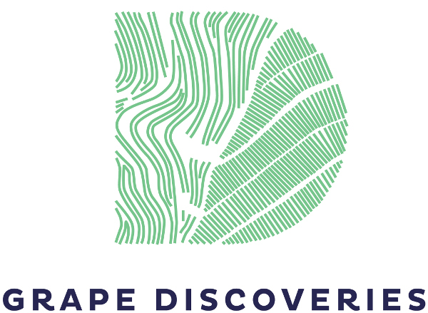 Private Tour of a Legendary Wine Estate