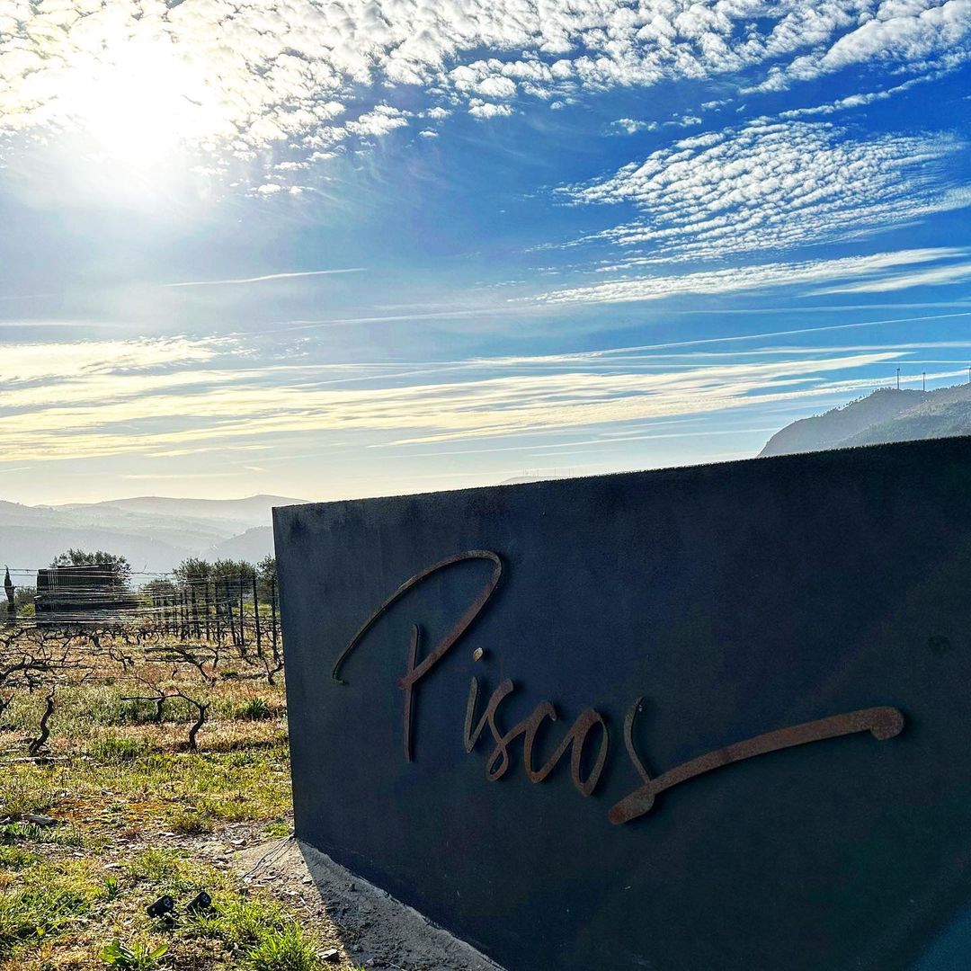 Piscos Hermitage Douro