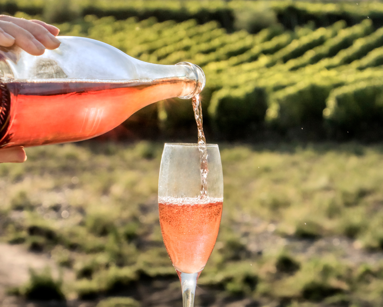 Douro em tons de Rosé | 17 e 18 de maio