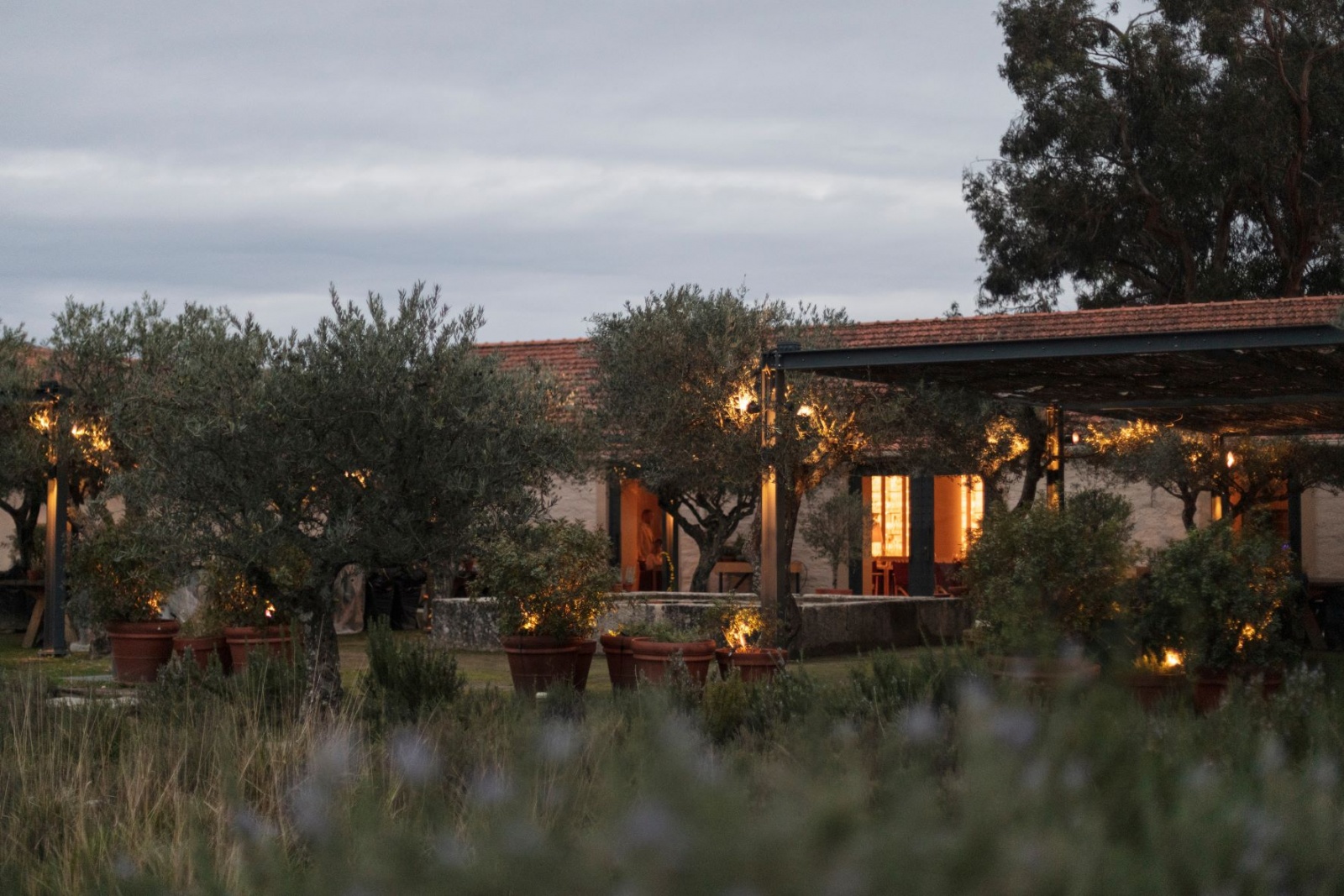 Seixo by Vasco Coelho Santos